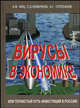 Вирусы в экономике, или тернистый путь инвестиций в Россию, А. В. Киц, С. Б. Новичков, А. Г. Строганов 
