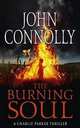 The Burning Soul, 