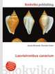 Laevistrombus canarium, Jesse Russell,Ronald Cohn 