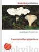 Leucopaxillus giganteus, Jesse Russell,Ronald Cohn 