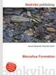 Marcellus Formation, Jesse Russell,Ronald Cohn 