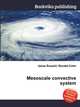 Mesoscale convective system, Jesse Russell,Ronald Cohn 