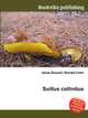 Suillus collinitus, Jesse Russell,Ronald Cohn 