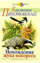 Похождение жука-носорога, Паустовский Константин Георгиевич 