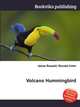 Volcano Hummingbird, Jesse Russell,Ronald Cohn 