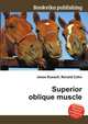 Superior oblique muscle, Jesse Russell,Ronald Cohn 