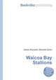 Waicoa Bay Stallions, Jesse Russell,Ronald Cohn 