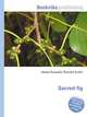 Sacred fig, Jesse Russell,Ronald Cohn 