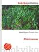 Rhamnaceae, Jesse Russell,Ronald Cohn 