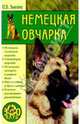 Немецкая овчарка, Зыкина Ольга Васильевна 