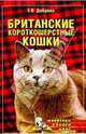 Британские короткошерстные кошки, Доброва Елена Владимировна 
