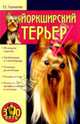 Йоркширский терьер, Стрекалова Эльвира 