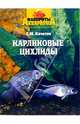 Карликовые цихлиды, Кочетов Сергей Михайлович 