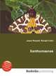Xanthomaenas, Jesse Russell,Ronald Cohn 