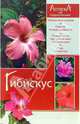 Гибискус, Красичкова Анастасия 