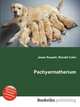 Pachyarmatherium, Jesse Russell,Ronald Cohn 