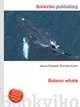 Baleen whale, Jesse Russell,Ronald Cohn 