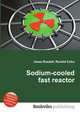 Sodium-cooled fast reactor, Jesse Russell,Ronald Cohn 