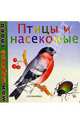 Птицы и насекомые, 