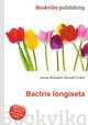 Bactris longiseta, Jesse Russell,Ronald Cohn 