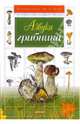 Азбука грибника, Гарибова Лидия Васильевна 