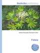 Fatsia, Jesse Russell,Ronald Cohn 