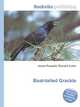 Boat-tailed Grackle, Jesse Russell,Ronald Cohn 