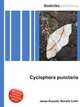 Cyclophora punctaria, Jesse Russell,Ronald Cohn 