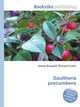 Gaultheria procumbens, Jesse Russell,Ronald Cohn 