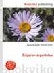 Erigeron argentatus, Jesse Russell,Ronald Cohn 