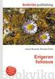 Erigeron foliosus, Jesse Russell,Ronald Cohn 