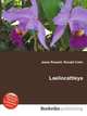 Laeliocattleya, Jesse Russell,Ronald Cohn 