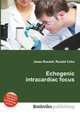 Echogenic intracardiac focus, Jesse Russell,Ronald Cohn 