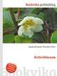 Actinidiaceae, Jesse Russell,Ronald Cohn 