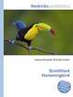 Scintillant Hummingbird, Jesse Russell,Ronald Cohn 