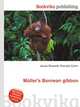 Mller`s Bornean gibbon, Jesse Russell,Ronald Cohn 