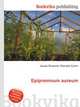 Epipremnum aureum, Jesse Russell,Ronald Cohn 