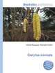 Corylus cornuta, Jesse Russell,Ronald Cohn 