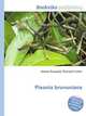 Pisonia brunoniana, Jesse Russell,Ronald Cohn 