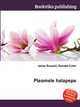 Pleomele halapepe, Jesse Russell,Ronald Cohn 
