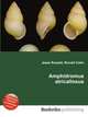 Amphidromus atricallosus, Jesse Russell,Ronald Cohn 