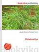 Sciadopitys, Jesse Russell,Ronald Cohn 