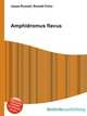 Amphidromus flavus, Jesse Russell,Ronald Cohn 