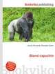 Blond capuchin, Jesse Russell,Ronald Cohn 