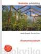 Arum maculatum, Jesse Russell,Ronald Cohn 