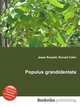 Populus grandidentata, Jesse Russell,Ronald Cohn 
