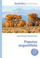 Populus angustifolia, Jesse Russell,Ronald Cohn 