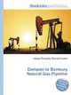 Dampier to Bunbury Natural Gas Pipeline, Jesse Russell,Ronald Cohn 