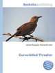 Curve-billed Thrasher, Jesse Russell,Ronald Cohn 