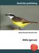 Attila (genus), Jesse Russell,Ronald Cohn 